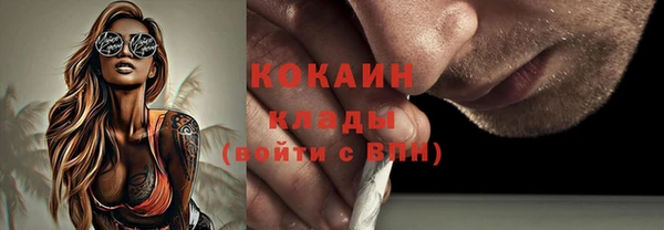 индика Корсаков