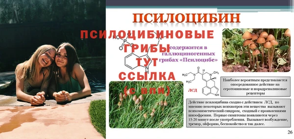 кристаллы Козловка