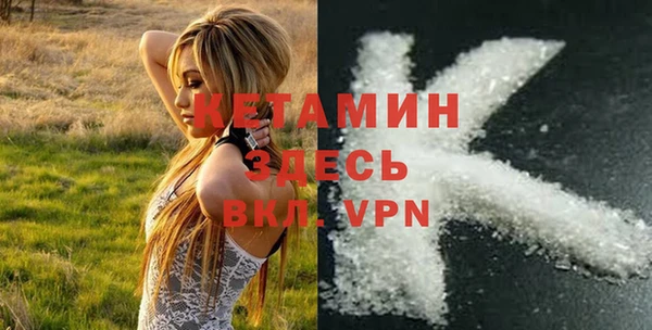 индика Корсаков