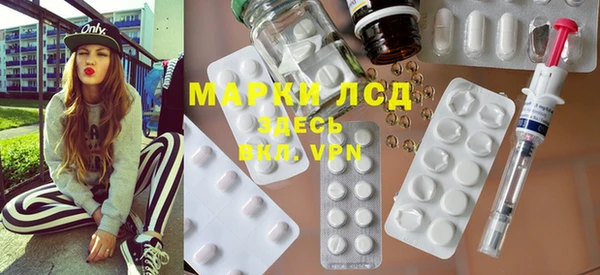 индика Корсаков