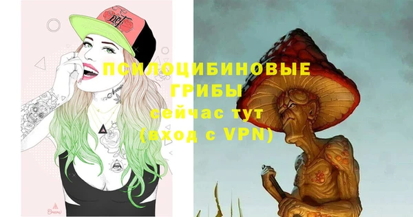 индика Корсаков