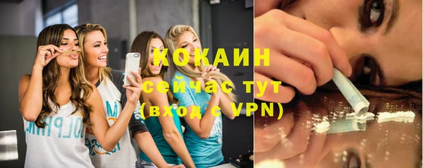 индика Корсаков